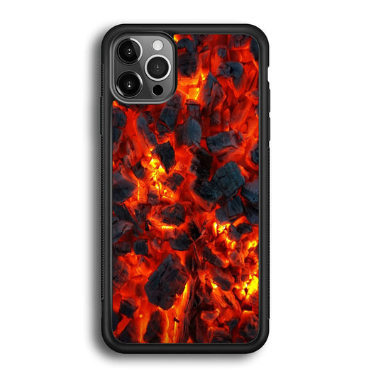 Coal In Fire iPhone 12 Pro Max Case